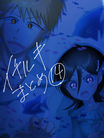 Ichiruki matome ⑭ cover