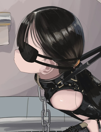 RO cover