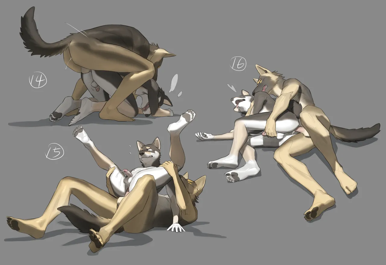 Shiba &amp; Shepherd page 5 full