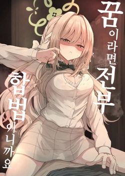 Yume nara Zenbu Gouhou desu kara | 꿈이라면 전부 합법이니까요