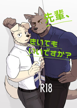 Senpai, Kiite mo Iidesu ka？