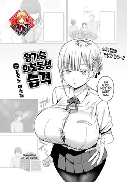 Dekapai Gimai, Syuurai  Step Sister Attacks!