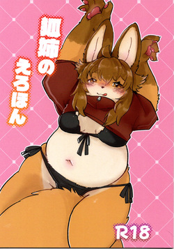 Fox Sister's Erotic Book