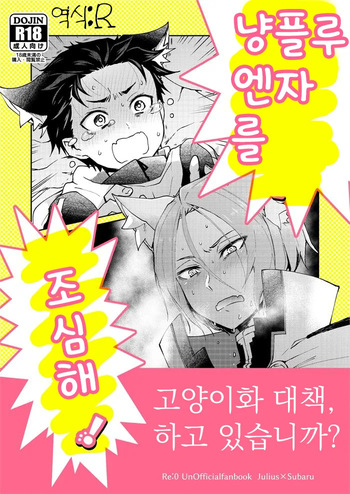 Nyan-fluenza ni Ki o Tsukete! | 냥플루엔자를 조심해! cover