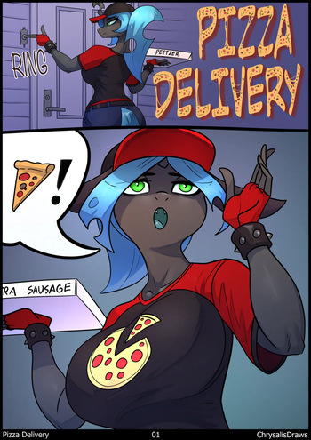 Pizza Delivery cover