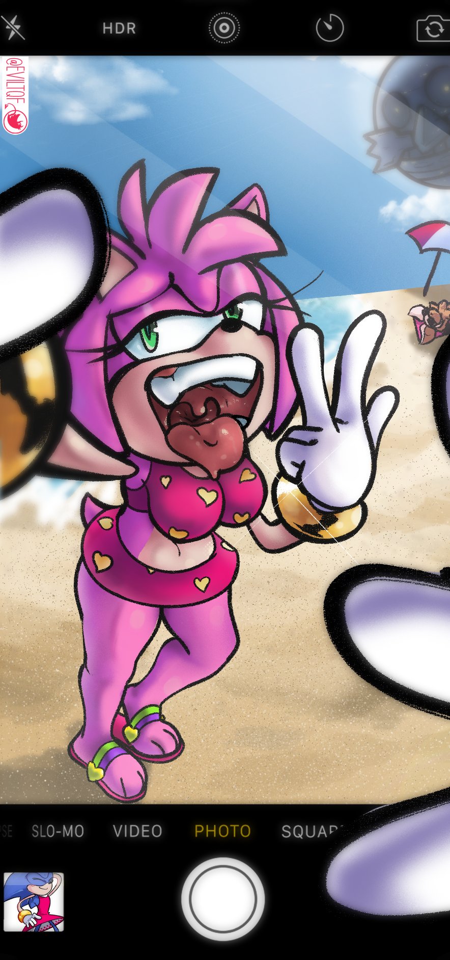 Amy Rose Beach Snack page 3 full