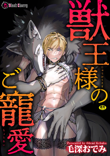 獣王様のご寵愛 cover