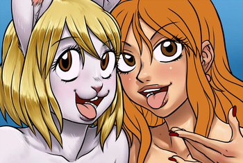 One Piece collection cover