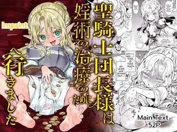 Seikishi Danchou-sama wa Injutsu no Chiryou no Tame ni Shoukan e Ikimashita | The Holy Knight Commander Visited a Brothel to Cure His Curse cover