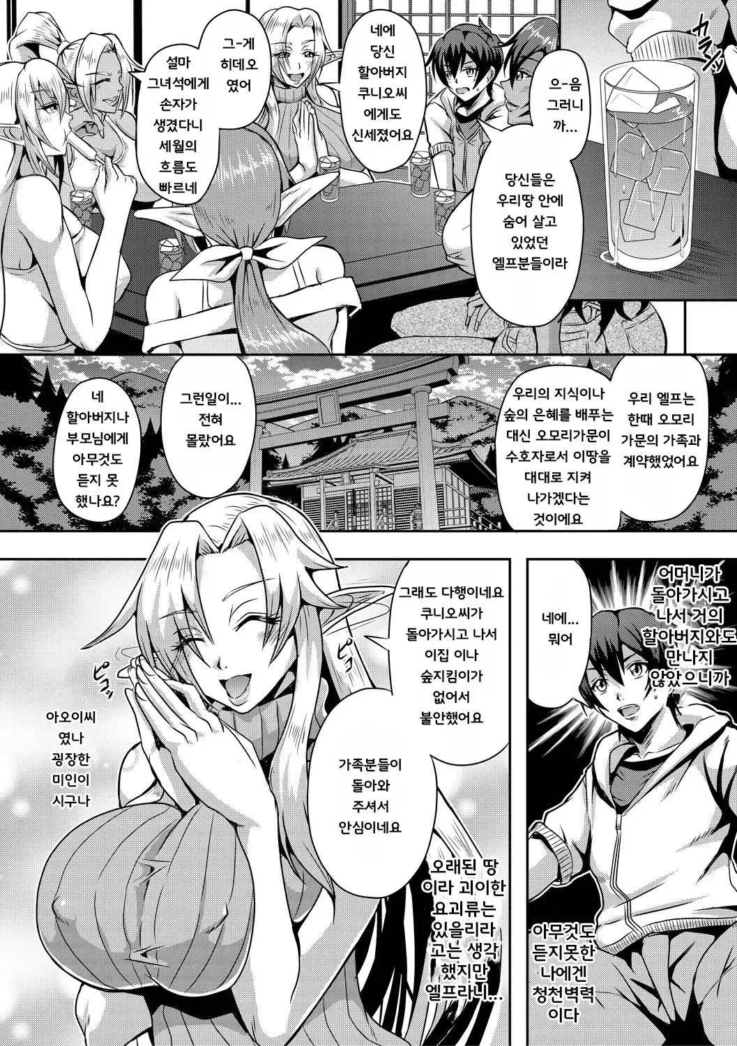 Elf Harem Monogatari - Elf Harem Story page 10 full