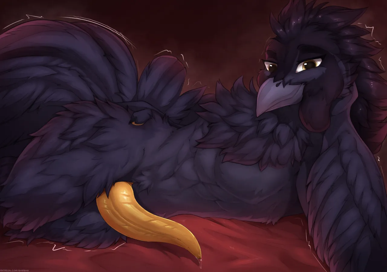 Shirsha page 3 full