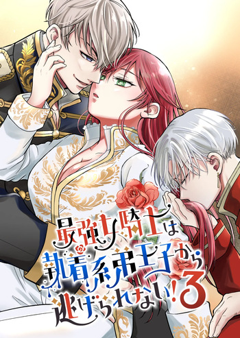 最強女騎士は執着系弟王子から逃げられない!3 cover