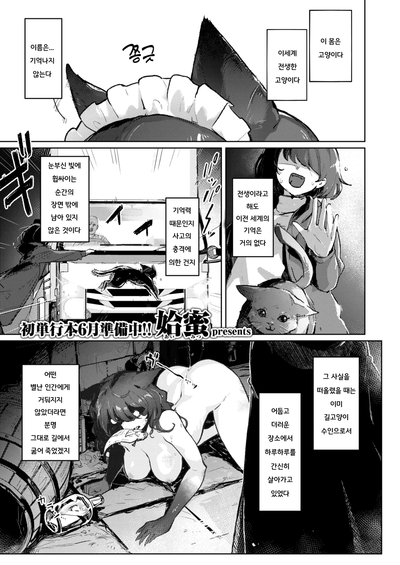 Nyanderful Isekai Life! | 냥더풀 이세계 라이프! page 1 full