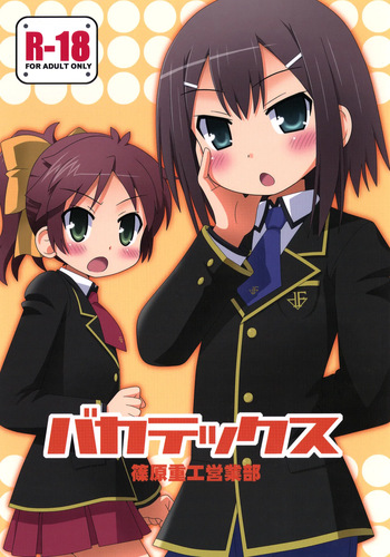 Bakatex cover