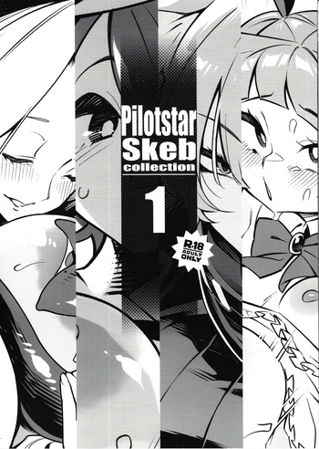 Pilotstar Skeb collection 1 cover