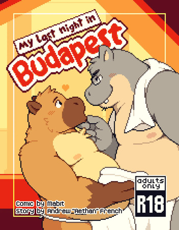 My last Night in Budapest cover