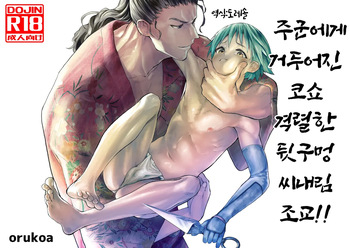 주군에게 거둬진 코쇼 ~격렬한 뒷구멍 씨내림 조교!!~Tono ni hirowa reta koshou ~ ganbori shu dzuke choukyou!!~ cover