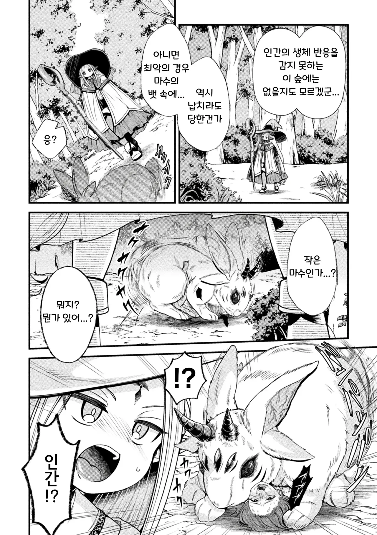 엘프 현자는 작은 마수의 소굴로 사라진다 page 2 full