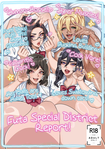 Futa Special District Report! cover