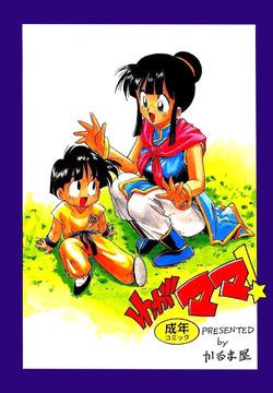 Serugēmu no zen'ya | The night before the Cell Games