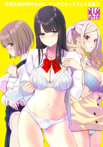 Seiso na Ane ga Suki nanoni, Bitch to Sex Shiteru Ore 3 cover