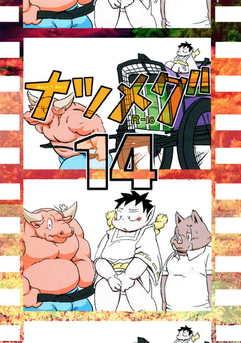 Natsumegu 14 cover