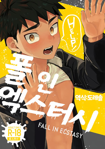 폴 인 엑스터시 FALL IN ECSTASY cover