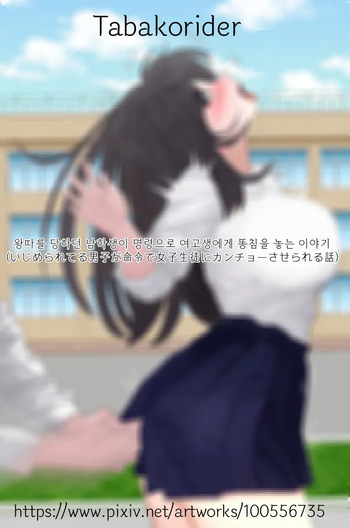 왕따를 당하던 남학생이 명령으로 여고생에게 똥침을 놓는 이야기 cover