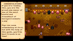 Pigs