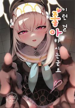 Kou Iu no ga Osuki nano desu yo ne | 이런 걸 좋아하시는군요