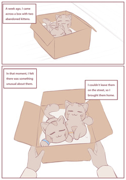 My Submissive Little Kitties - Compilation by BluvyDev