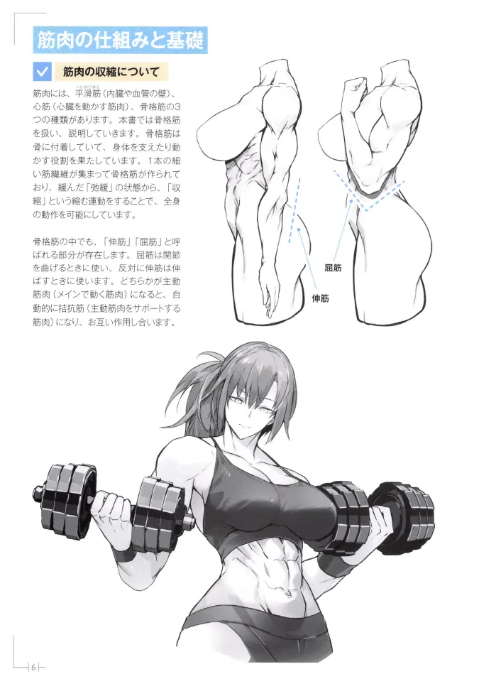 How to Draw a Muscular Girls for the First Time - Master the Key “Muscle Points” page 10 full