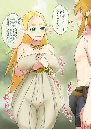 災厄を退けた後に100年分の性欲をぶちまけられるzld姫…♡ cover