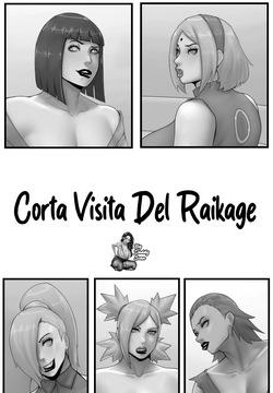 Raikage's Short Visit｜Corta Visita del Raikage