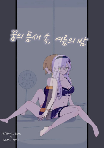 꿈의 틈새 속, 여름의 밤 cover