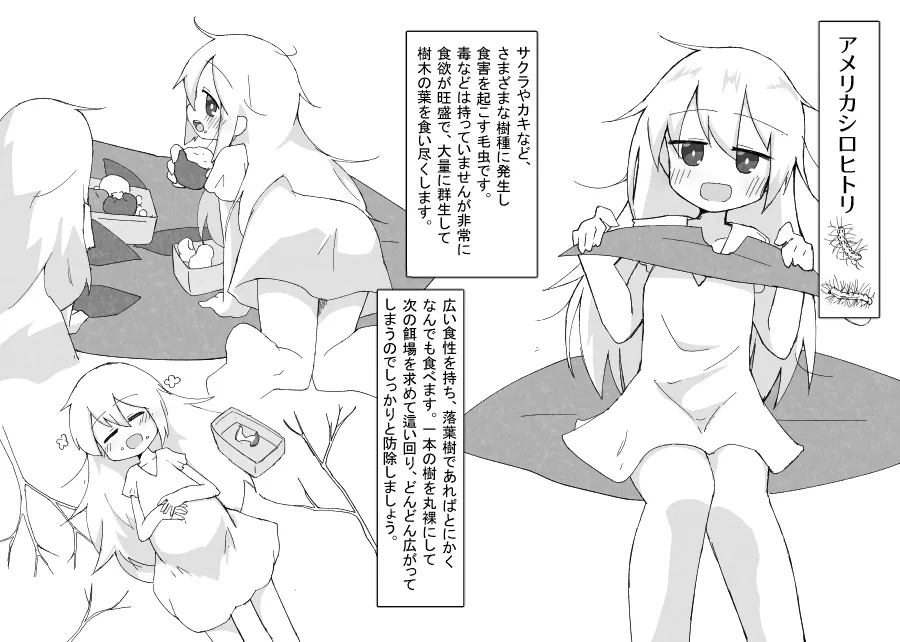 お庭の害虫駆除日報 page 3 full