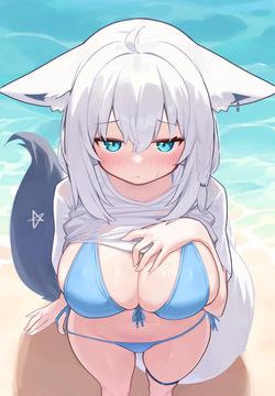 Bikiniフブちゃん + はいてない