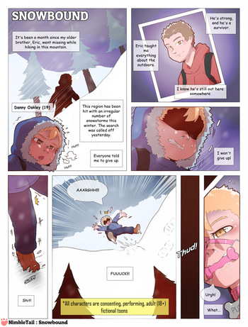 nimbletail Snowbound cover