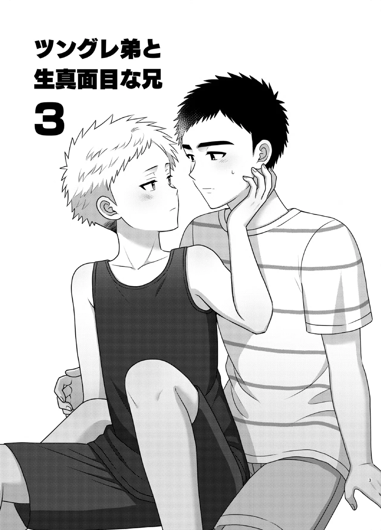 Tsungure Otouto to Kimajime na Ani 3 page 3 full