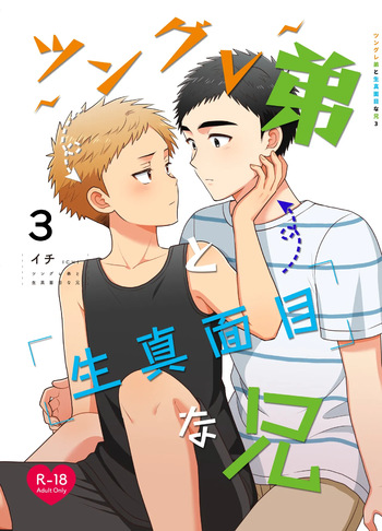 Tsungure Otouto to Kimajime na Ani 3 cover