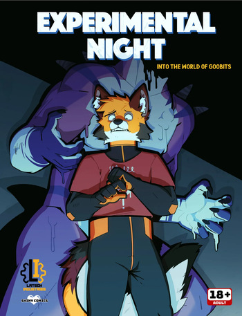 Experminetal Night cover