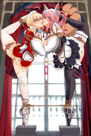 Nero &amp; Tamamo cover