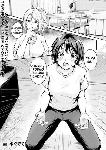 TS Goods Panic ~Iritani Kyoudai no Baai~ | TS Goods Panic ~The Case of the Iritani Siblings~ cover