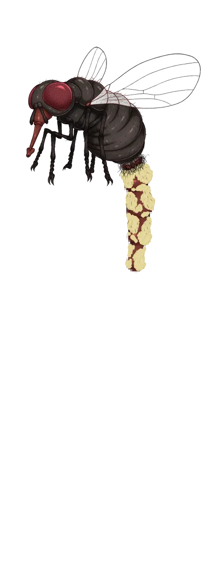 NTRRPG2 ~A Different Town and a Corroded Heart~ page 6 full