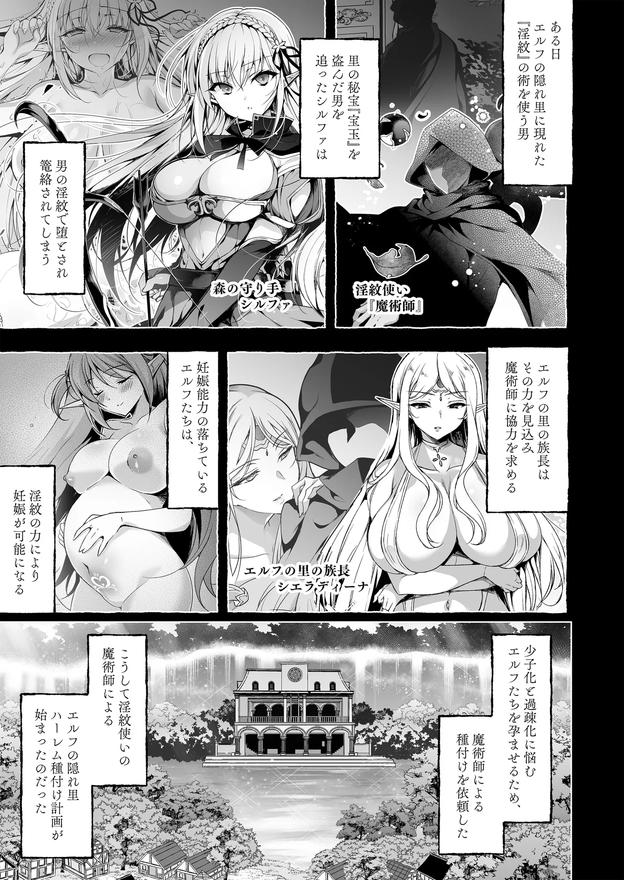 Inmon Majutsushi no Elf Harem page 3 full