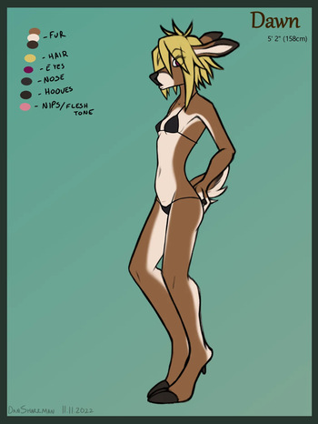 Character   Dawn cover