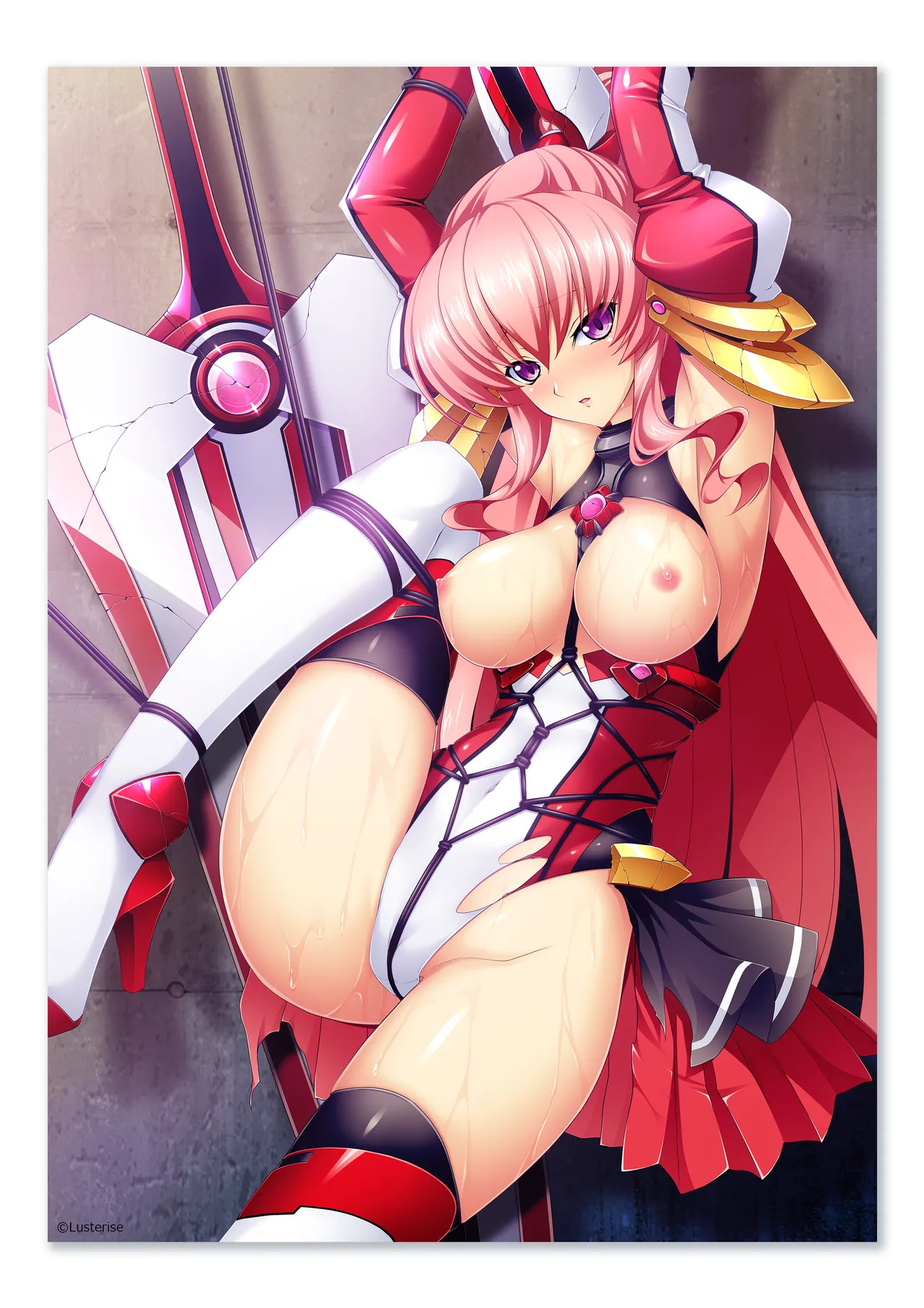 Kouyoku Senki ExS-Tia 10th anniversary Box Bonus Disc Licensed Illustration Collection page 10 full