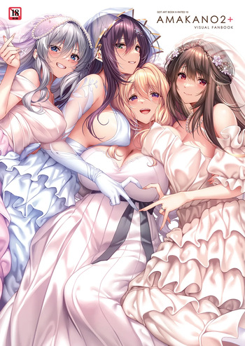 Amakano 2+ Visual Fan Book cover